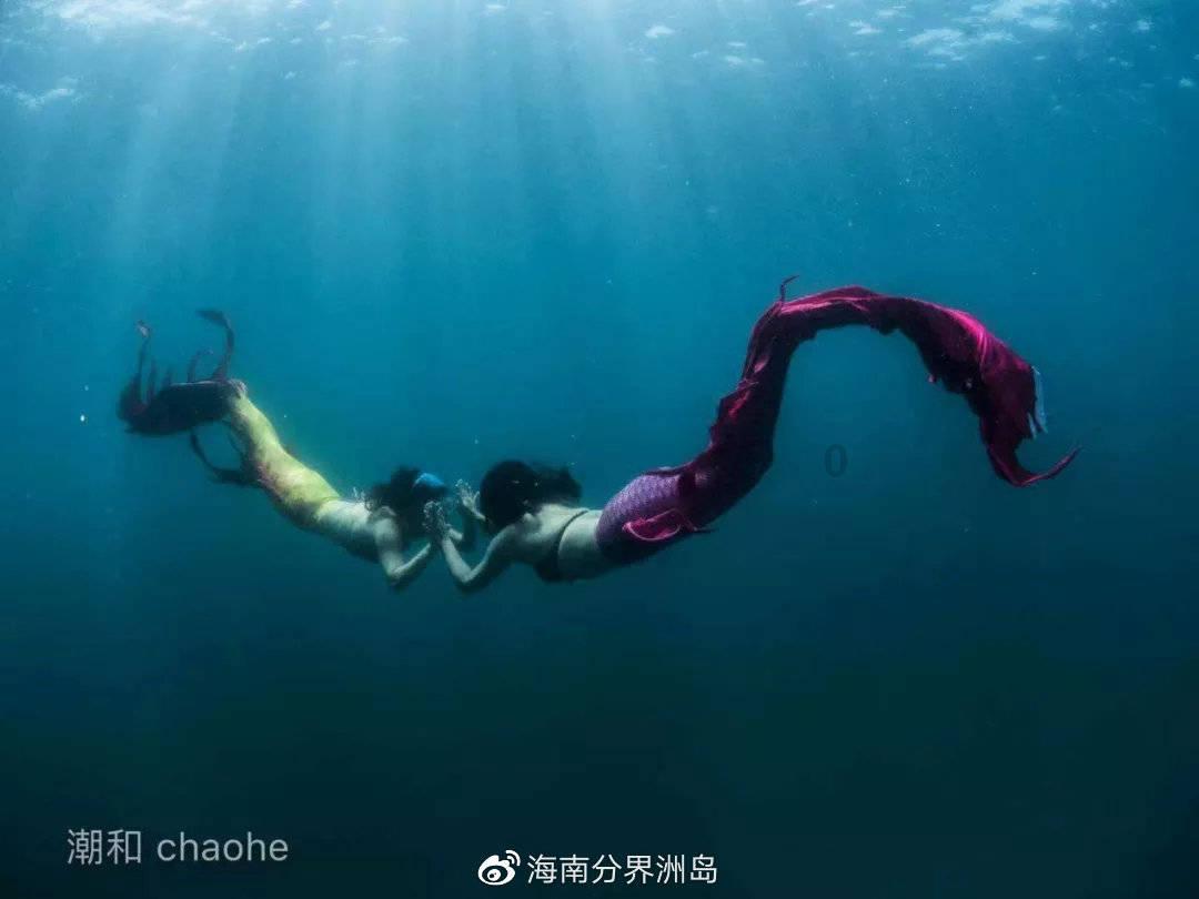 探索吉鹿力问答社区,解答你的疑问
